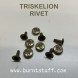 Single Cap Rivets Other Stuff image